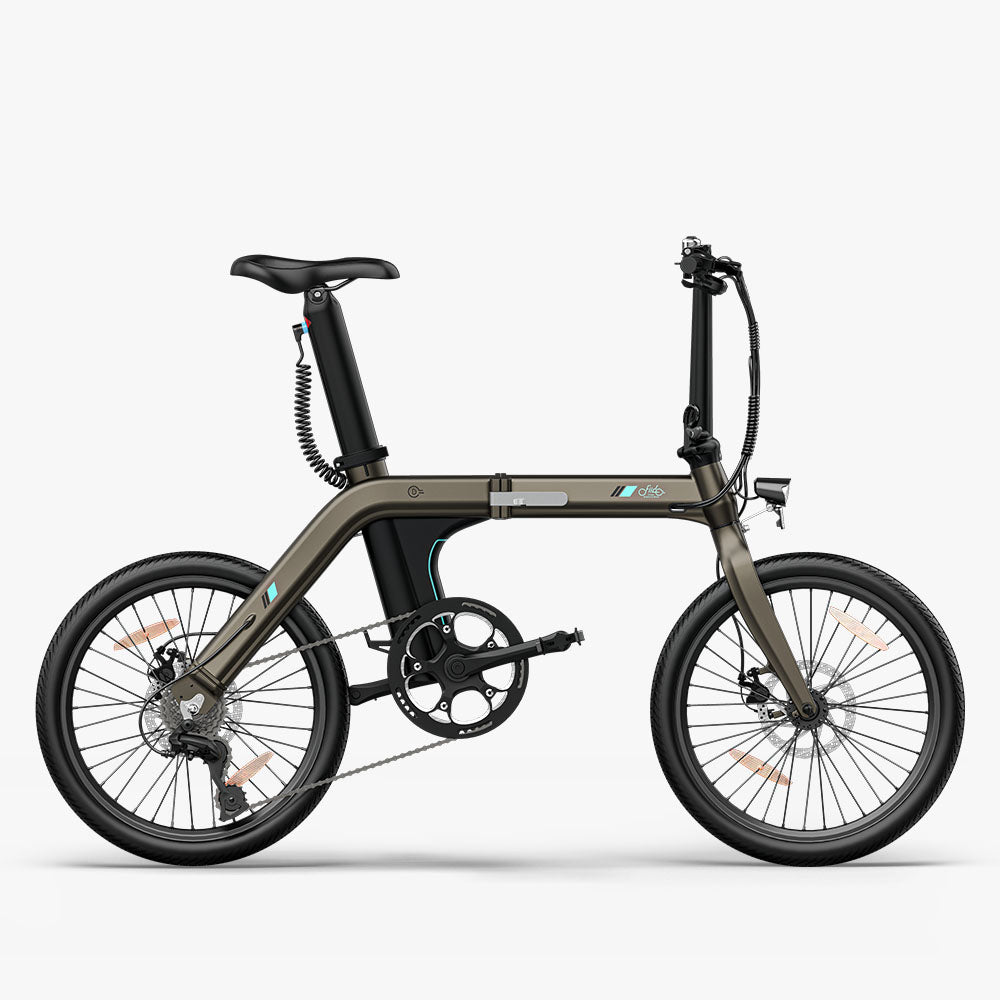 Fiido D21 Folding Electric Bike