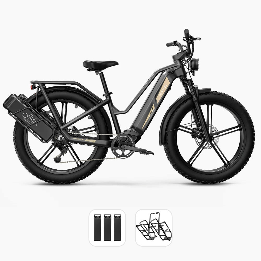 Fiido Titan M25 Cargo Electric Bike