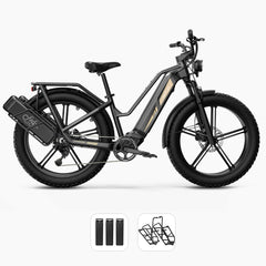 Fiido Titan M25 Cargo Electric Bike