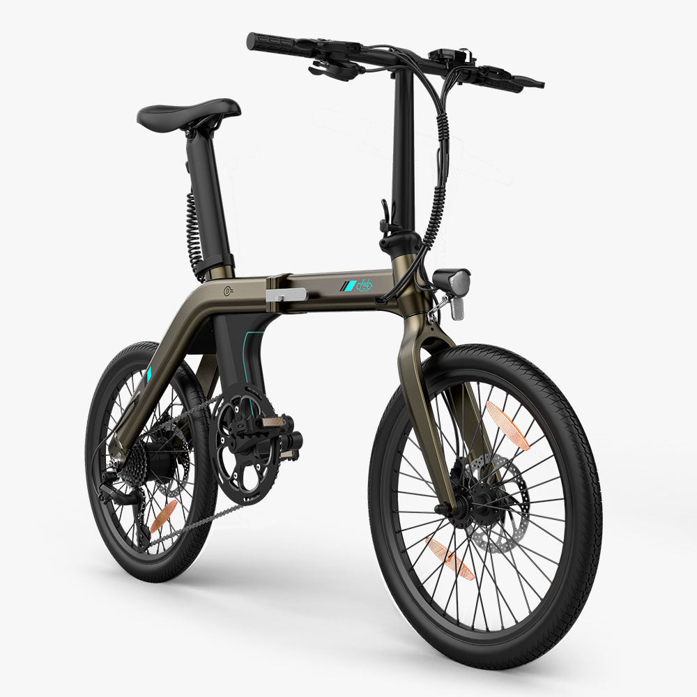 Fiido D21 Folding Electric Bike