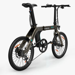 Fiido D21 Folding Electric Bike