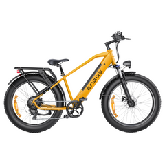 ENGWE E26 Fat Tyre Electric Bike