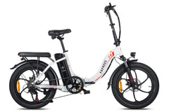 FAFREES F20 Folding Electric Bike