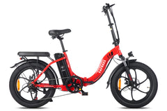 FAFREES F20 Folding Electric Bike