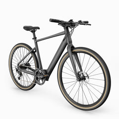 Fiido E-Gravel C21 Electric Bike