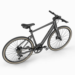 Fiido E-Gravel C21 Electric Bike