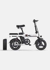 Engwe T14 Mini E-bike