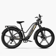 Fiido Titan M25 Cargo Electric Bike