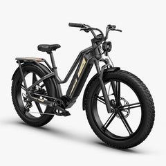 Fiido Titan M25 Cargo Electric Bike