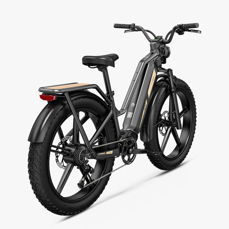 Fiido Titan M25 Cargo Electric Bike