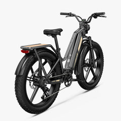 Fiido Titan M25 Cargo Electric Bike