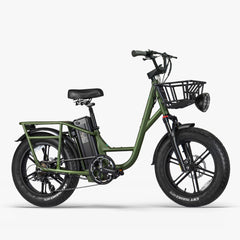 Fiido T1 Pro Utility Electric Bike