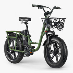 Fiido T1 Pro Utility Electric Bike