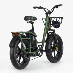 Fiido T1 Pro Utility Electric Bike