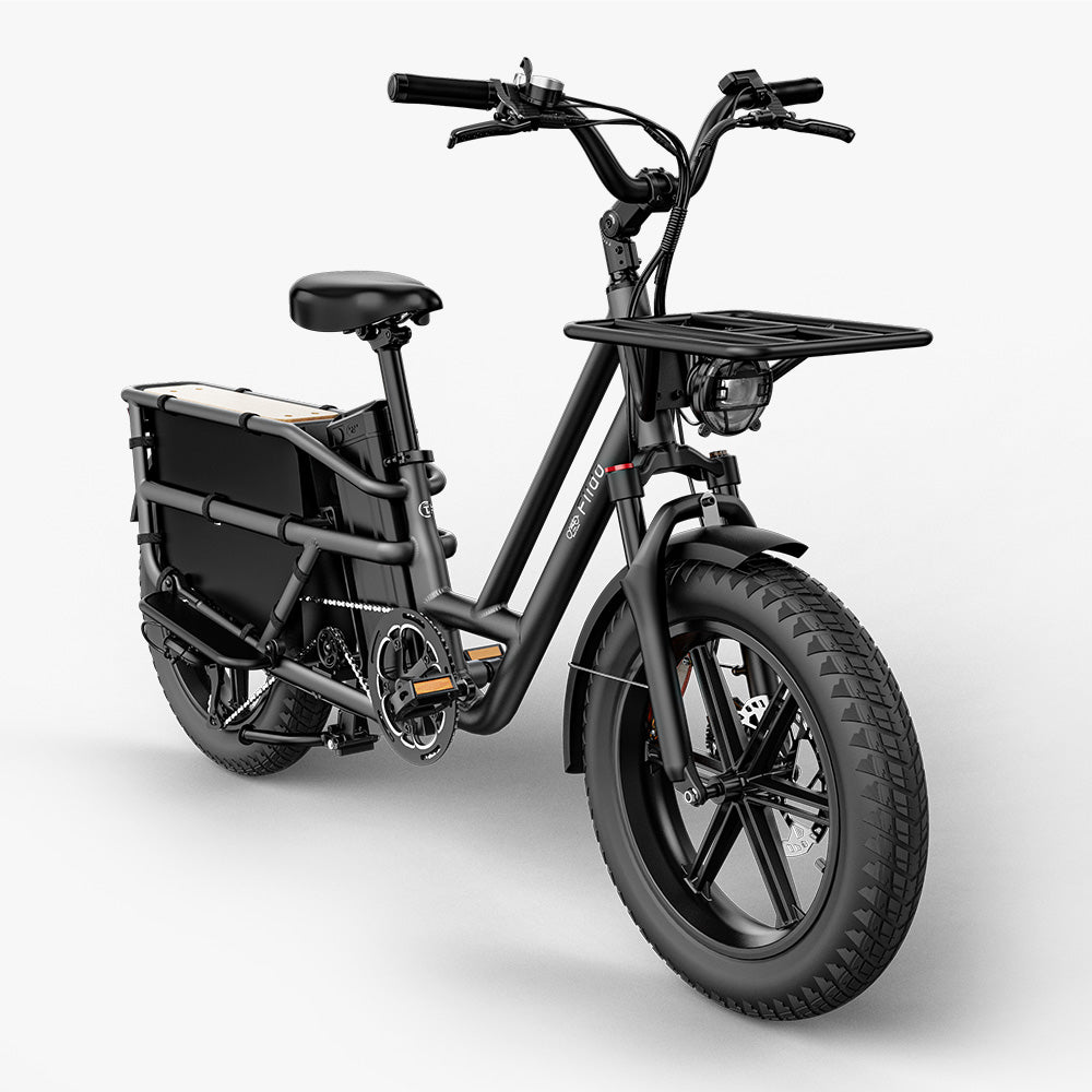 Fiido T2 Longtail Cargo E-Bike