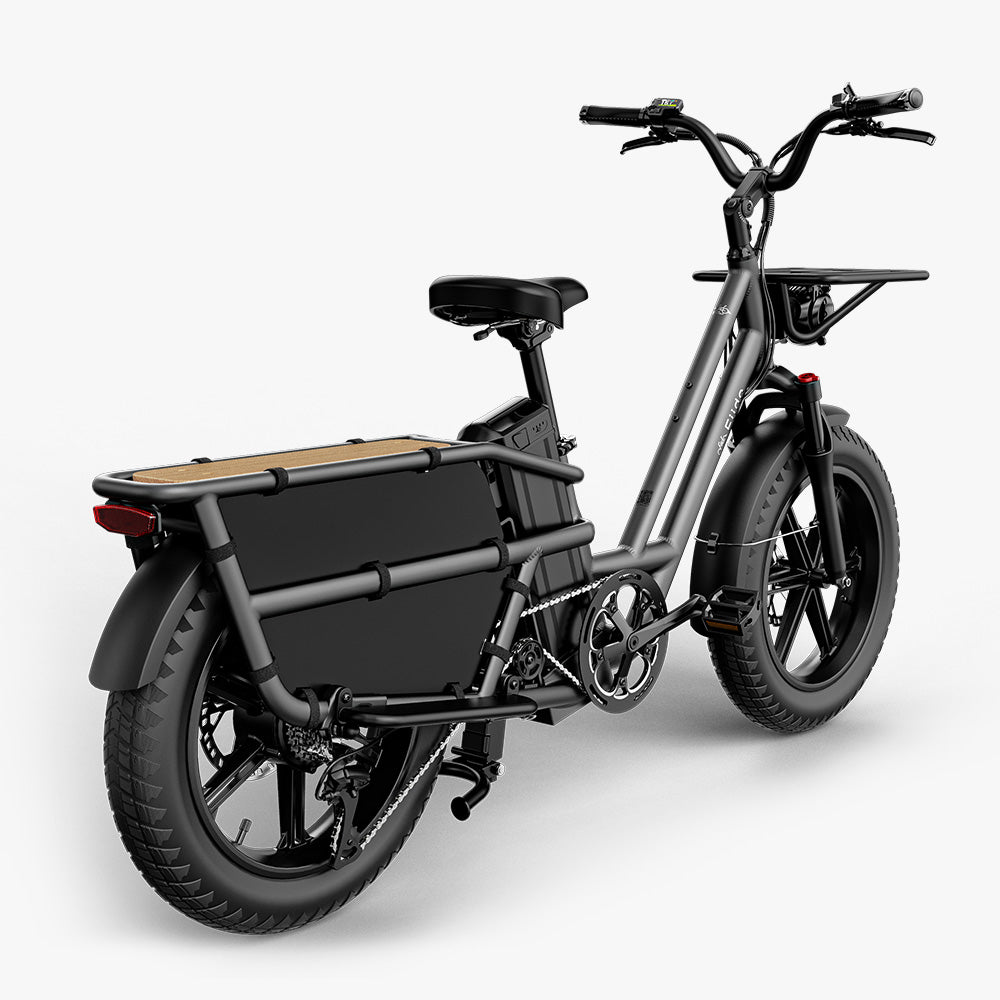 Fiido T2 Longtail Cargo E-Bike